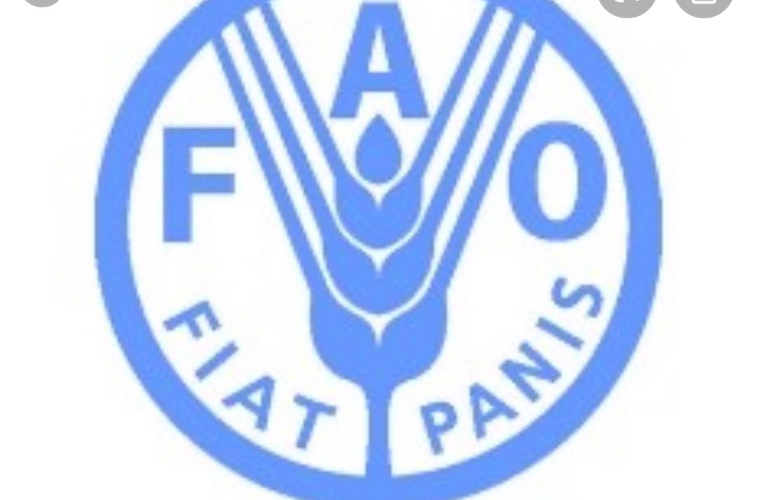 Credit photo: FAO 