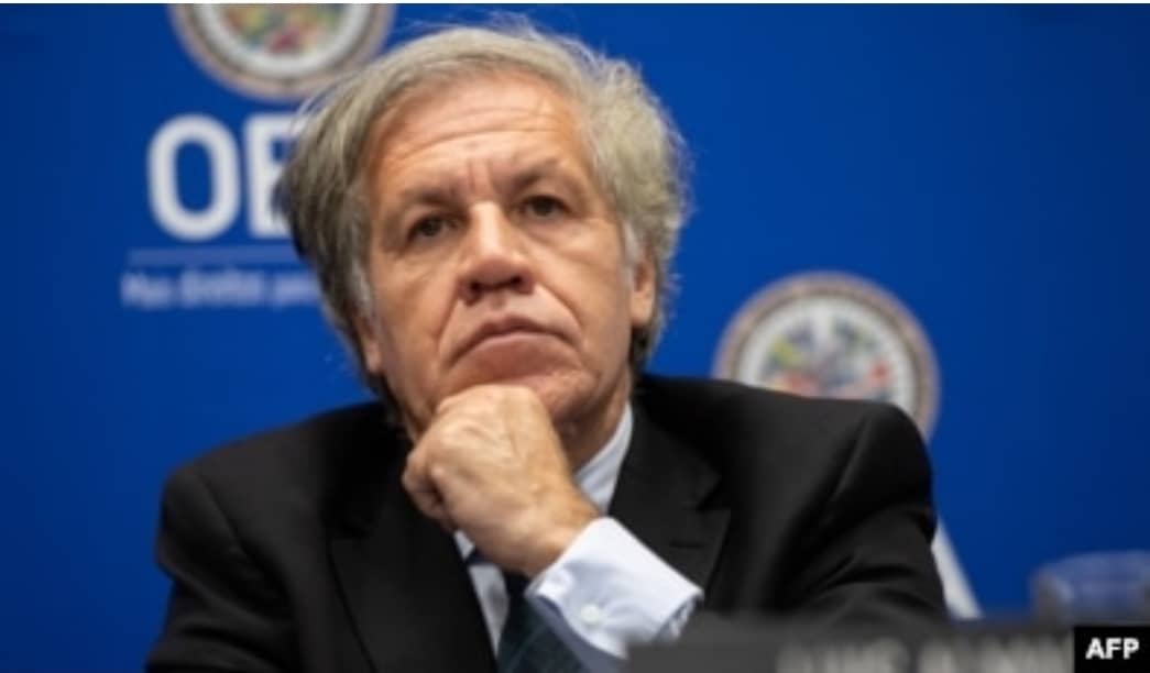 Luis Almagro, Sec Gén de l'OEA