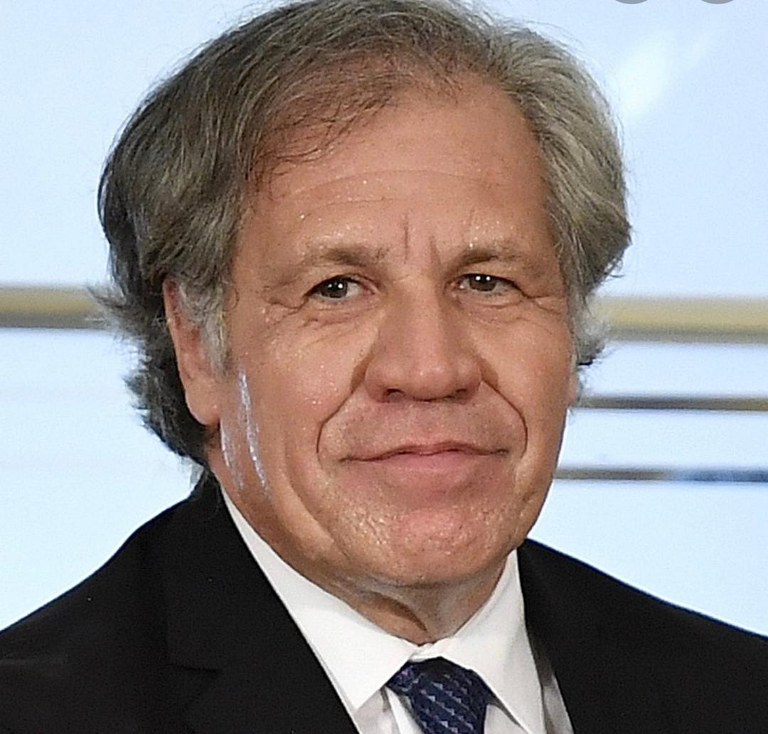Luis Almagro, secréraire général de l'OEA 