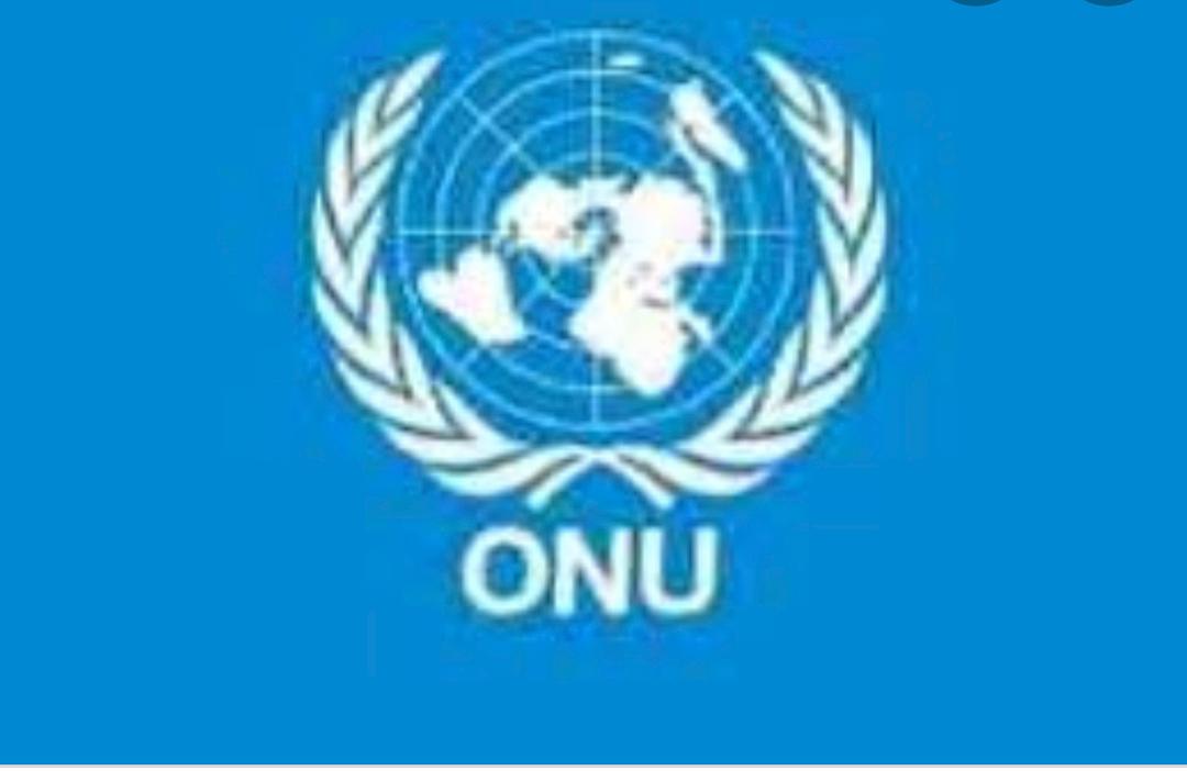 Organisation des Nations Unies ( ONU) 