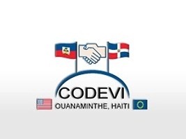 CODEVI Logo