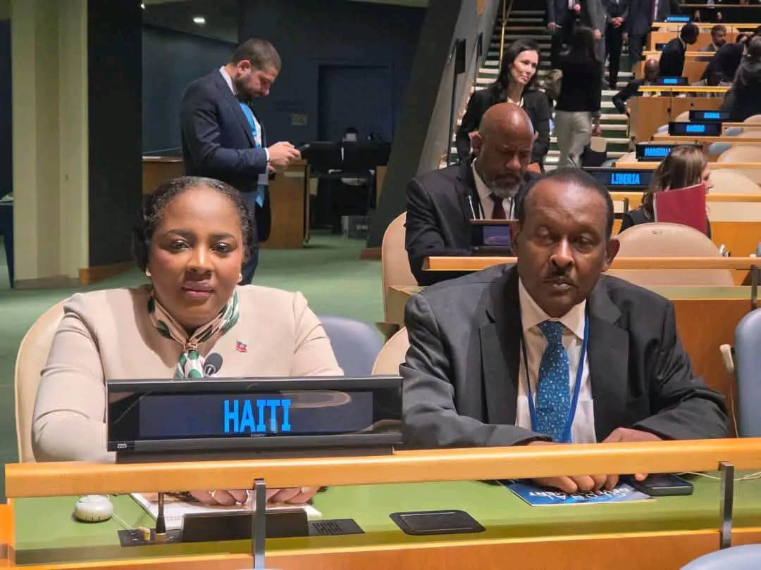 Dre Sandra Paulemon représente Haïti au Segment de haut niveau de l’ECOSOC