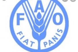 Credit photo: FAO 