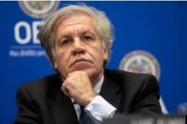 Luis Almagro, Sec Gén de l'OEA