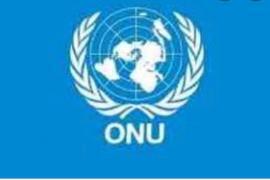Organisation des Nations Unies ( ONU) 