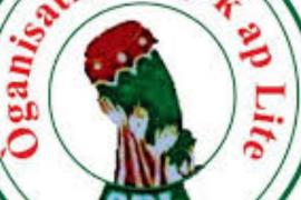 OPL, Organisation Peuple en Lutte 